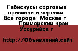 Гибискусы сортовые, прививки и черенки - Все города, Москва г.  »    . Приморский край,Уссурийск г.